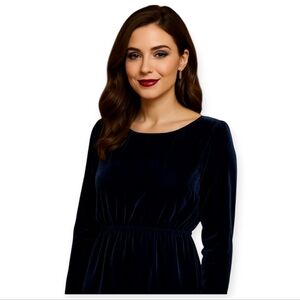 J Crew Factory Navy Velvet Dress Size 10 Long Sleeve Tulip Hem Workwear Chic